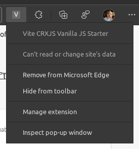 Vite CRXJS Chrome Extension Action Context Menu with &quot;Inspect pop-up window&quot; highlighted